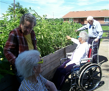 Raised Garden Dream