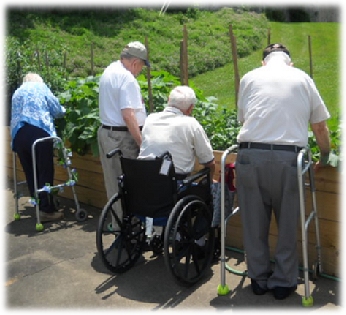 Garden Boxes at Twin Oaks, fulfilled by the Lions' Club.