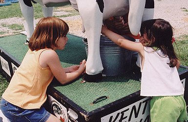 Milking Kentucky Kate