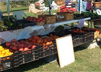 Henry County Harvest Showcase 2005